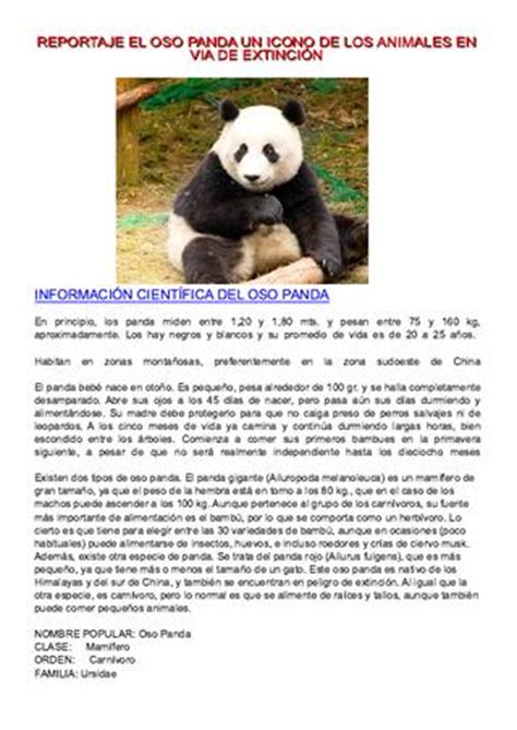 REPORTAJE EL OSO PANDA UN ICONO DE LOS ANIMALES EN VIA DE ...