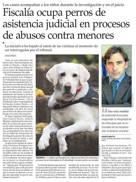 Reportaje   Perros de Asistencia Judicial | Peros de ...