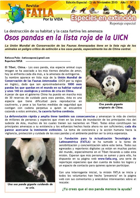 Reportaje sobre el Oso Panda by Katiusca Peña   issuu