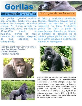 Reportajes sobre los Gorilas by Ernesto Cardosi   Issuu