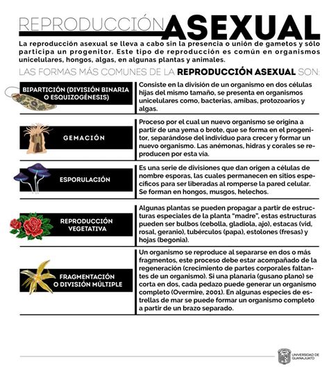 Reproducción asexual – Repositorio de Objetos de ...