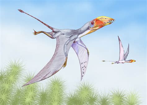 Reptiles Voladores Prehistóricos | La Exuberancia de Hades