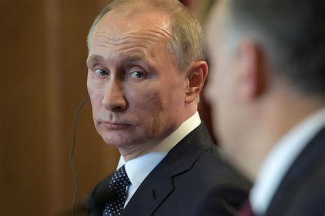 Republicans warm to Putin as other Americans hold dim view ...