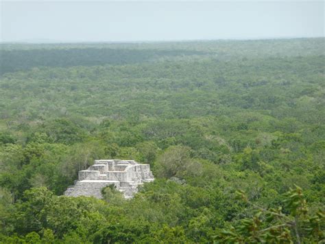 Reserva de la biosfera de Calakmul   Wikipedia, la ...