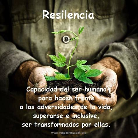 Resiliencia. En psicología, la resiliencia es la capacidad ...