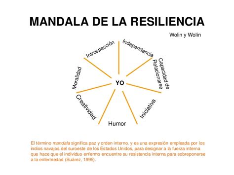 Resiliencia Que Es | apexwallpapers.com