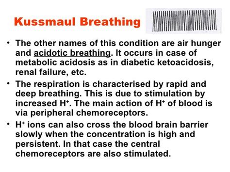 Respiratory  exam 1  Flashcards | Easy Notecards