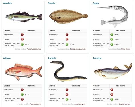 Resultado de imagen de imagenes de peces y sus nombres ...