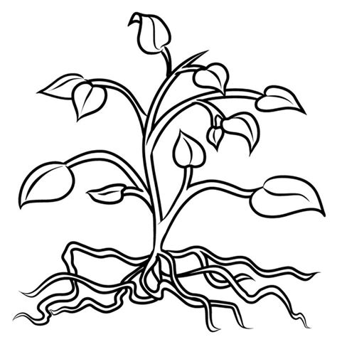 Resultado de imagen para dibujo de plantitas | Dibujos a ...