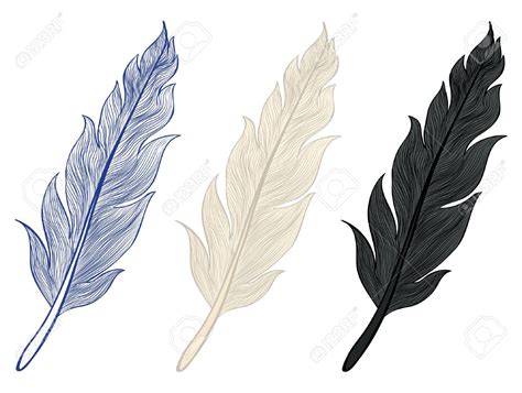 Resultado de imagen para plumas | Dibujos | Pinterest ...