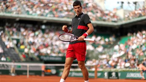Resumen y resultado del Verdasco   Djokovic: Roland Garros ...