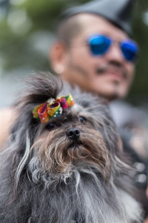 Retratos desde la marcha por el orgullo LGBTTTI [México ...