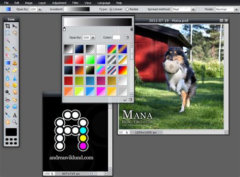 Review: Pixlr Editor, the free online photo editor ...