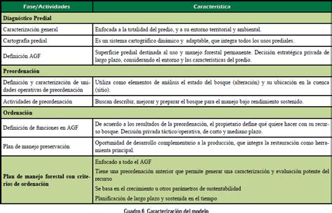 Revista Virtual REDESMA   Modelo de gestión forestal para ...