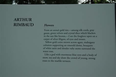Rimbaud | From the Garret