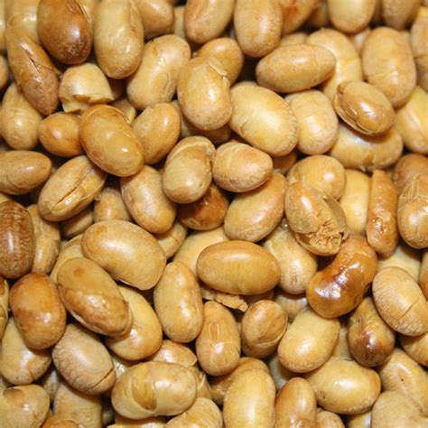 Roasted Soybeans
