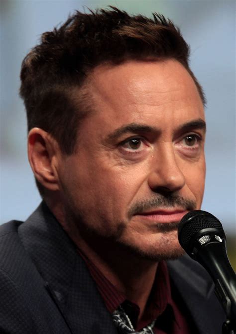 Robert Downey Jr.   Wikipedia