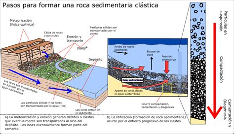 Rocas sedimentarias, clasificación, tipos, ejemplos e ...