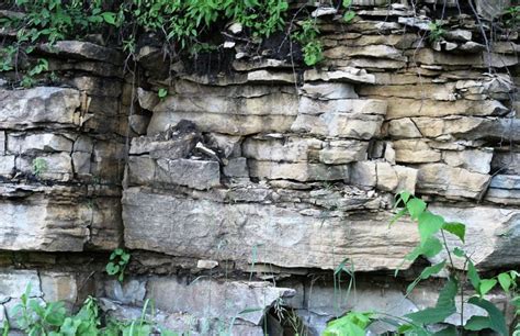 Rocas sedimentarias | Qué son, formación, características ...