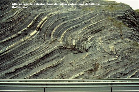 Rocas sedimentarias | Rocas sedimentarias /Sedimentary ...