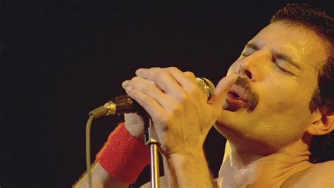Rock Efsanesi Freddie Mercury nin Hayatı:   Bir Nergis ...