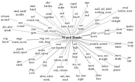 Root words : Learning new words incessantly! | VocabMonk Blog