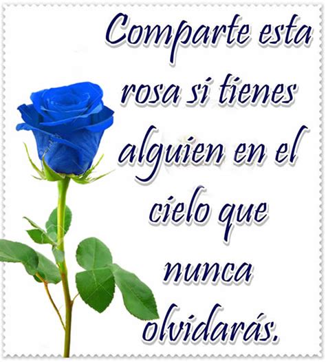 Rosa azul significado | Ichistesgratis.com