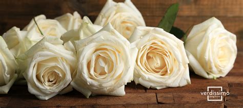 Rosas blancas ¿Cuál es su significado?   Verdissimo