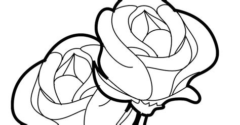 rosas para dibujar : rosas para dibujar