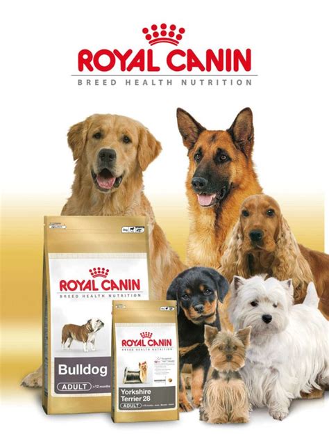Royal Canin, el mejor pienso para perros — Jardinitis