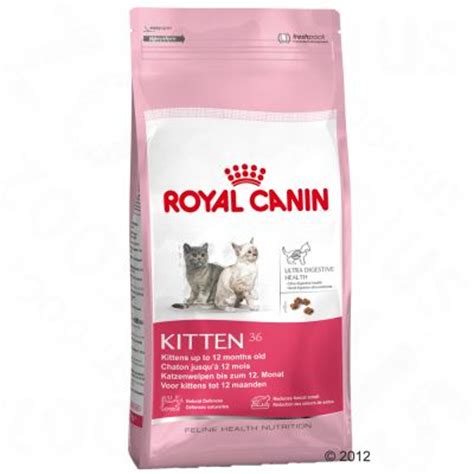 Royal Canin Kitten pienso para gatos