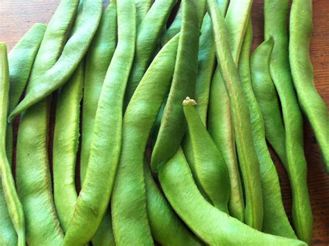 runner beans | Life as a 20 something year old.