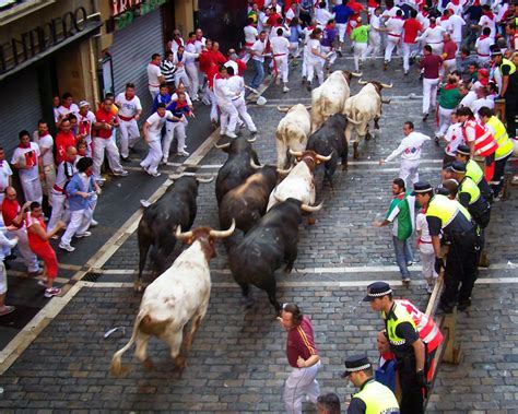 Running Of The Bulls In Spanish | Traffic School Online
