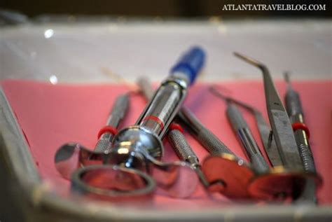 Russian Dentist In Atlanta – Find Local Dentist Near Your Area