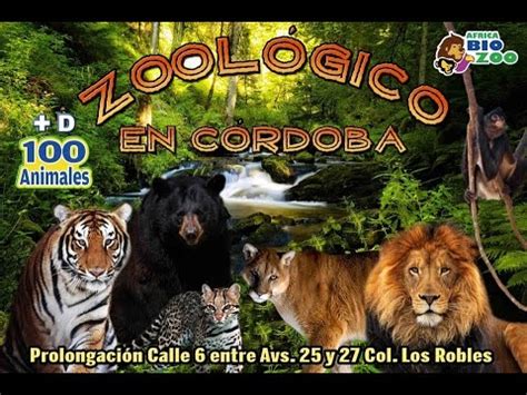Ruta al zoológico de Córdoba,Veracruz.México.   YouTube