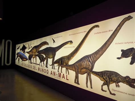 Ruta de los Dinosaurios en Teruel: recorremos el gran ...