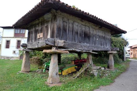 RUTA FUENTES DE OBAYA Asturias   COLUNGA   : Rutas de ...