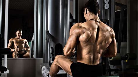 Rutina de espalda para hombres en gimnasio | ENTRENA GYM
