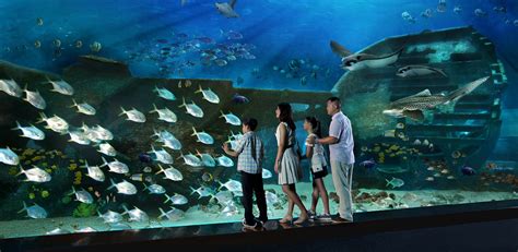 S.E.A. Aquarium™   Attractions in Singapore   Resorts ...