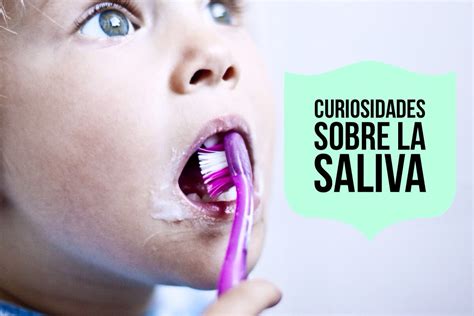Saliva: importancia de la saliva y funciones de la saliva