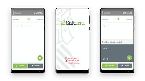 Salt translator Design and development of the APP