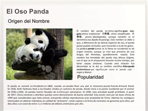 Salvando al Oso Panda...