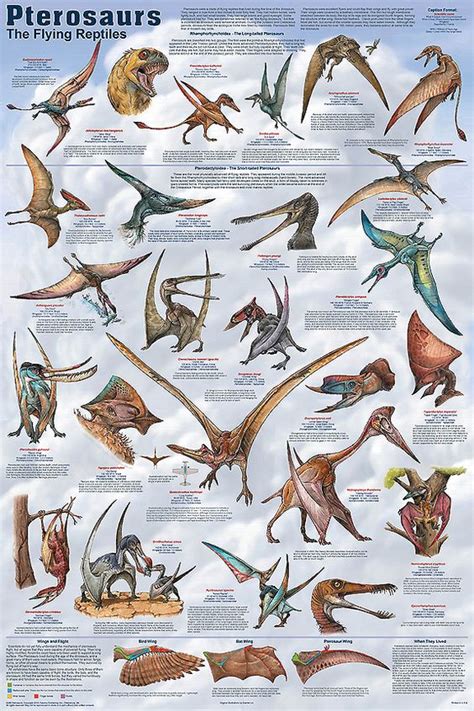 Same Artist as  Dapper Dinosaurs.  Note that Pterosaurs ...