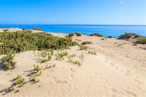 Sand between your toes   Fuerteventura beaches