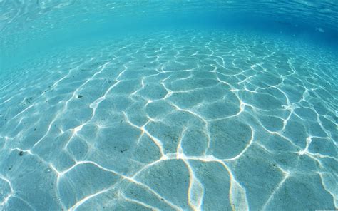 Sand underwater wallpaper_5257.jpg | Florida Keys Dive Center