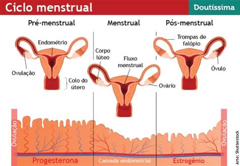 Sangramento vaginal fora do período menstrual o que pode ser?