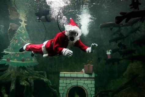 Santa Claus celebra Navidad sumergido en Acuario del ...