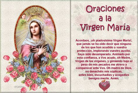Santa María, Madre de Dios y Madre nuestra: Oraciones a la ...
