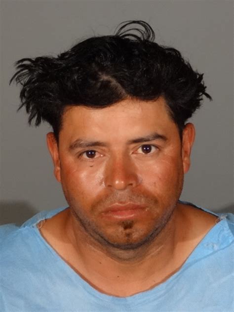 Santa Monica Police Arrest Serial Sexual Assault Suspect ...