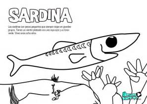 sardina, dibujos colorear peces. Recursos educativos ...